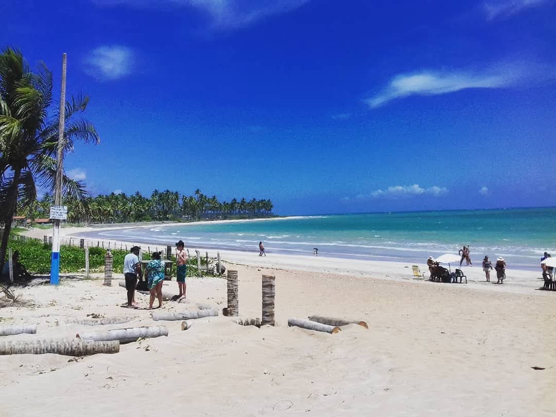 Praia de água azul com coqueiros em São Miguel dos Milagres